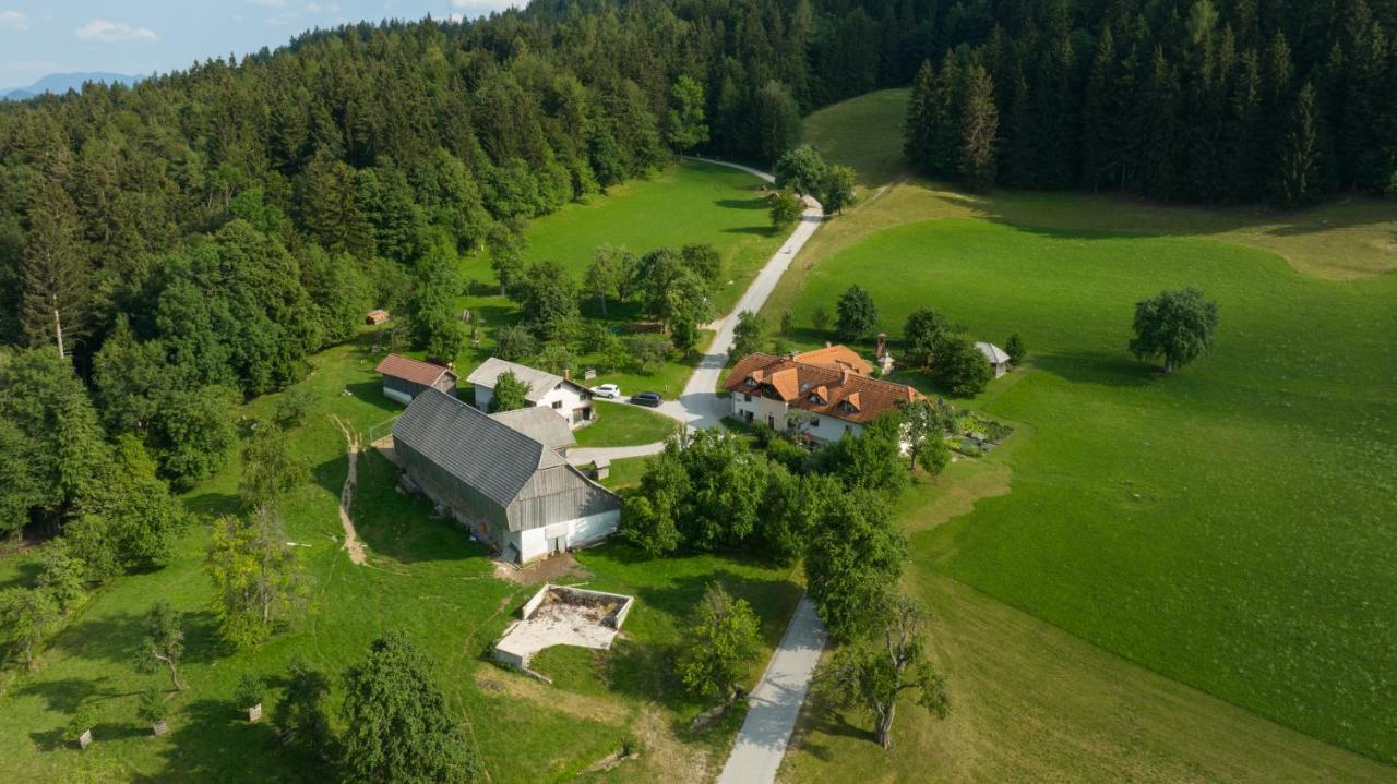 Eco Tourist Farm Ravnjak Slovenj Gradec Dış mekan fotoğraf